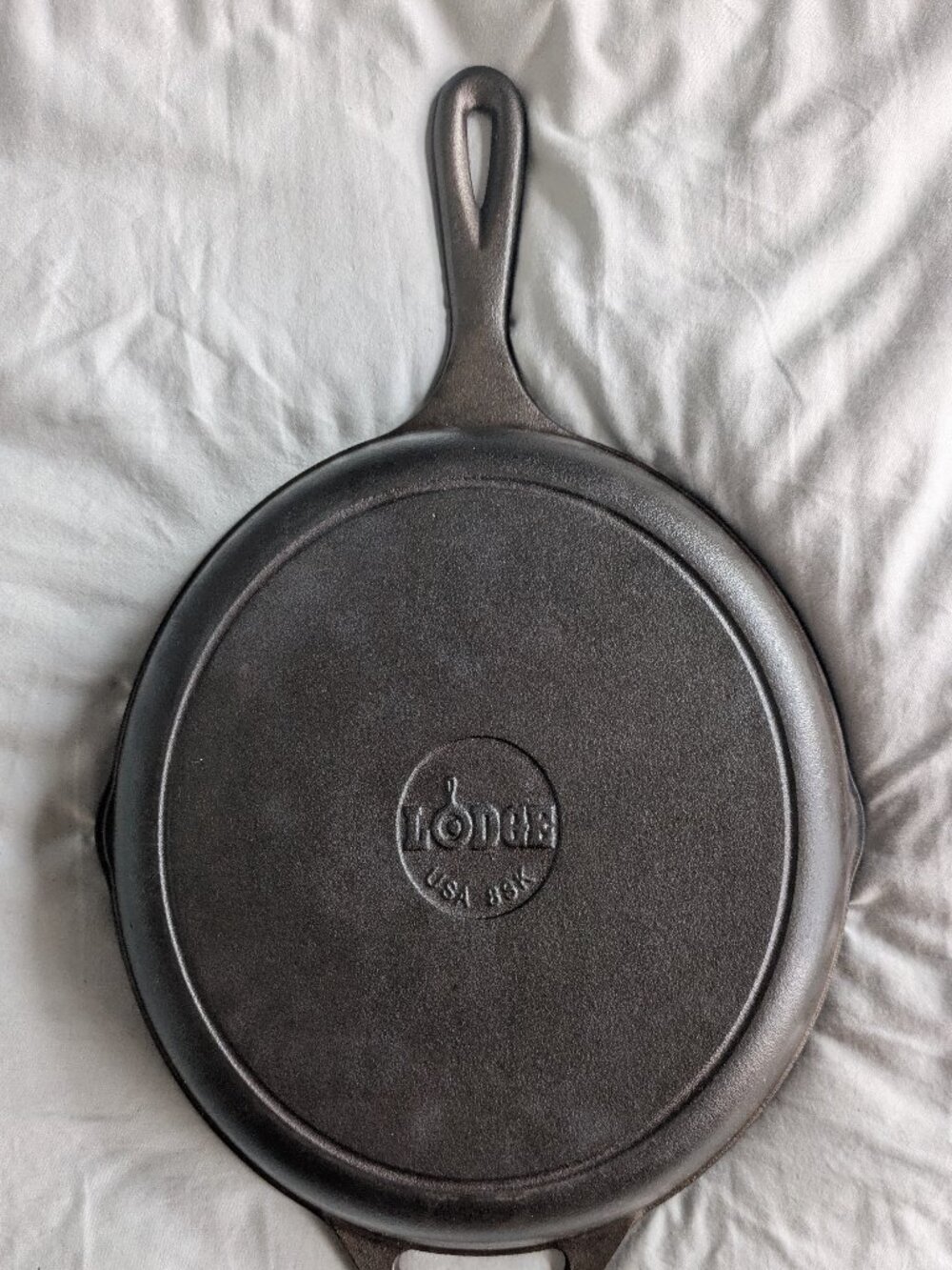 Lodge 10" pan